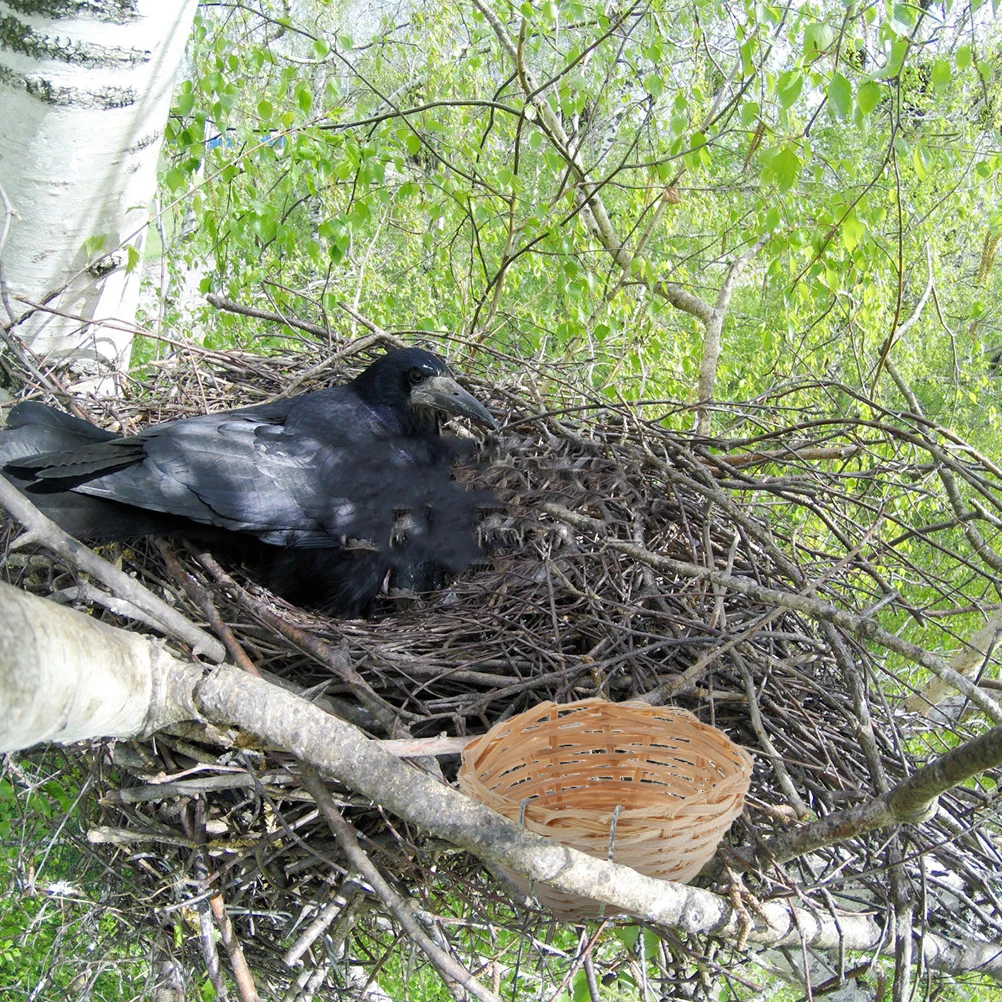 

8 Pcs Bamboo Bird Nests Handmade Rattan Weaving Cozy Warm Sheltered Cage Accessories for Pet Supplies Parrot Houses