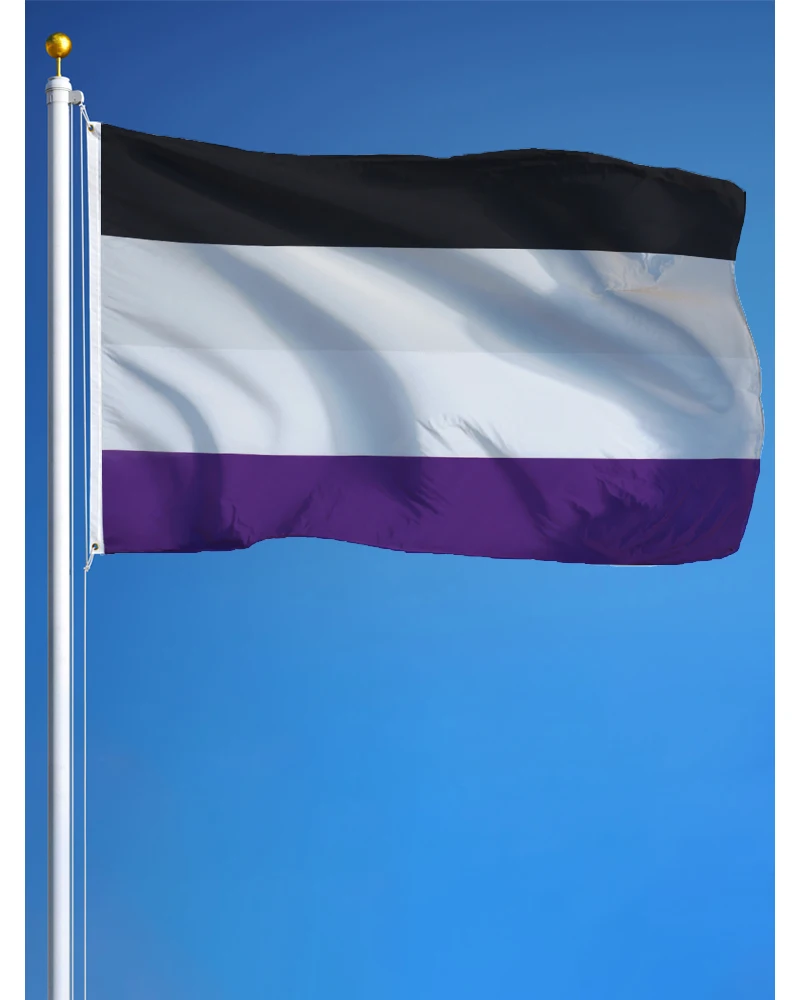 60x90cm 90x150 Asexual Flag Banner Tapestry