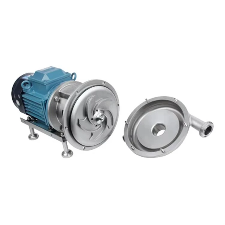 For Transporting Liquid Gear Pump Inxo/Stainless Steel 304 316L Electric Water Pump OEM CE Certified