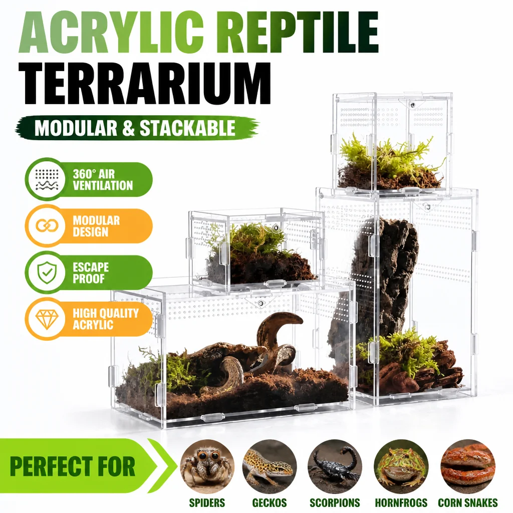 Durable Acrylic Reptile Habitat Clear Multiple Size Lizard Breeding Box Anti-Escape Arboreal Small Pet Cage for Scorpion