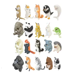 Japanese Genuine Gacha Scale Model Worship Animals Shiba Inu Flower Cat Beluga Whale Otter Cat Clasp Action Figure Toys