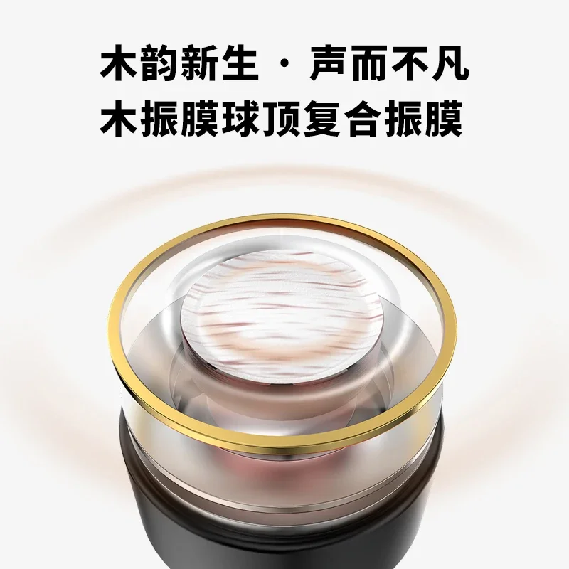 Reverse the future Forest Leming WOODNOTE flagship wood diaphragm dynamic earphones