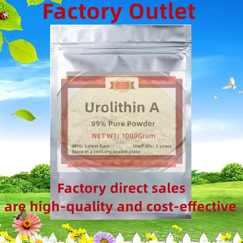 Global Aliexpress F… - image