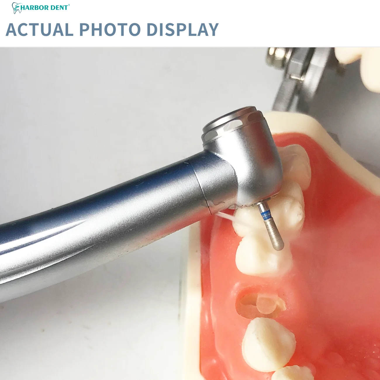 Pièce à Main Dentaire à Grande Vitesse, Générateur Électronique Intégré, Bouton Poussoir à Rotation Élevée, Équipement Dentaire, 3 Jets d'Eau, 2/4 Trous