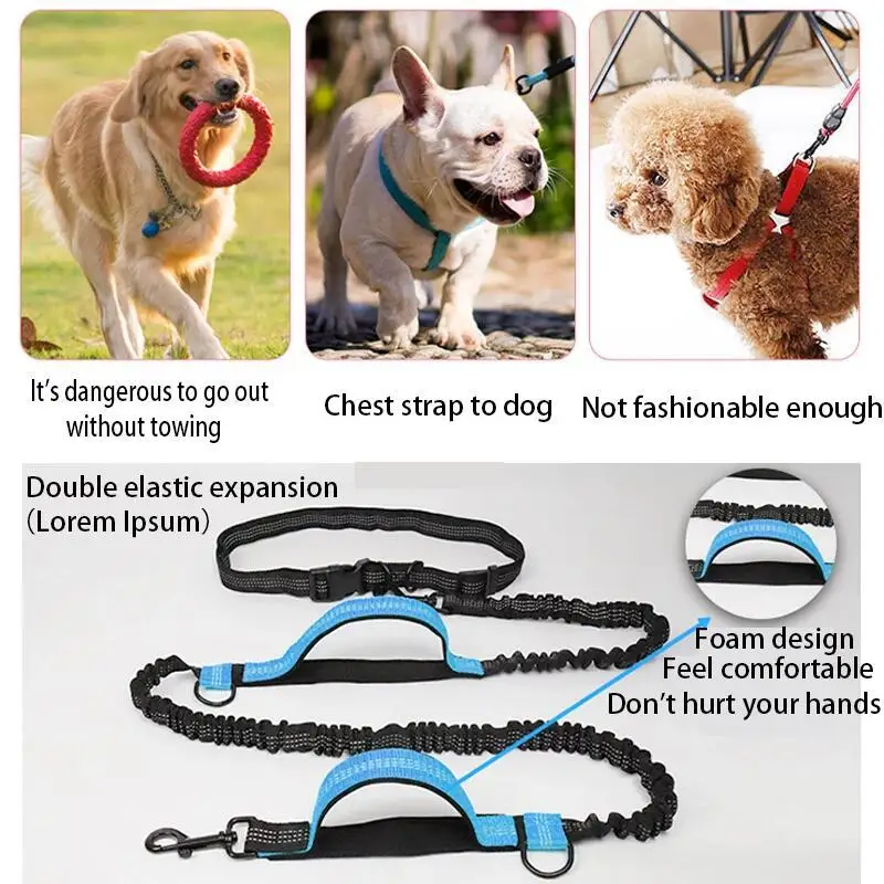 Double elastic reflective running leash portable retractable dog leash dog chain leash pet supplies wholesale