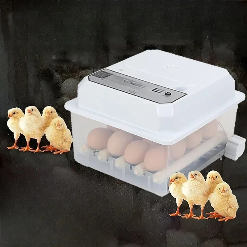 16 Eggs Farm Poultry Fully Automatic Turning Egg Incubator Dual-Electric Mini Household Brooder for Chicken Goose Duck Birds