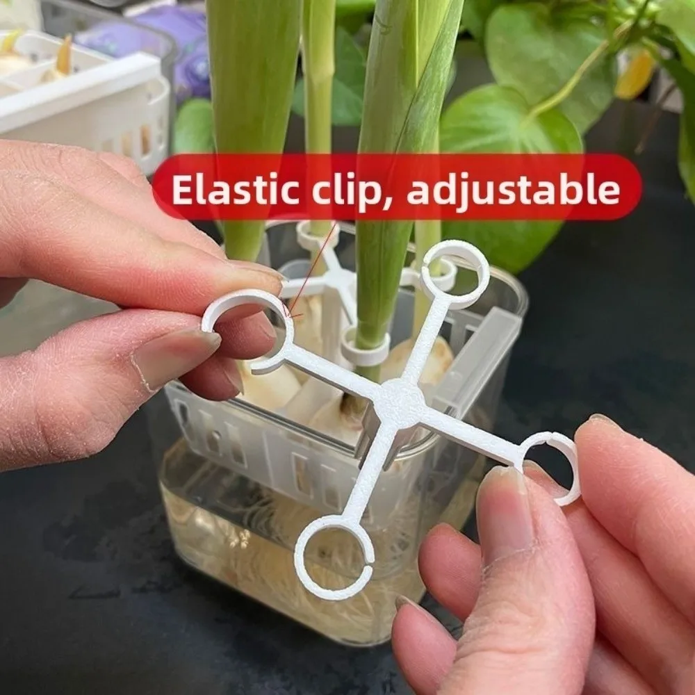 4-Hole Hydroponic Tulip Anti-Tip Stand Anti-Fall Stabilize Tulip Bulb Support Holder Keep Upright Plastic