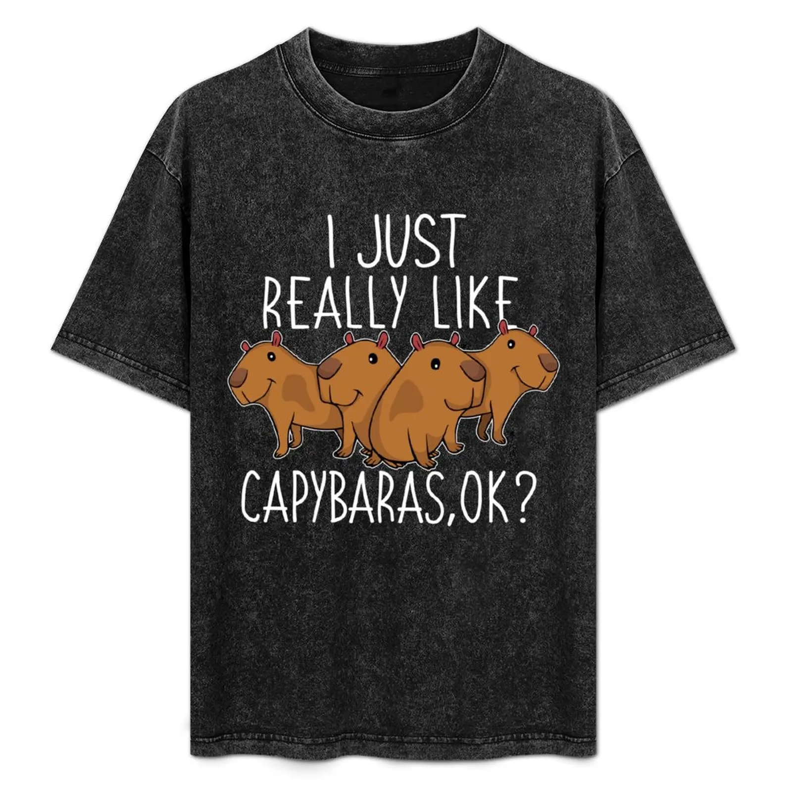 

Capybara Gift Kids Women Cute Capybara T-Shirt Casual Daily Graphic Tee