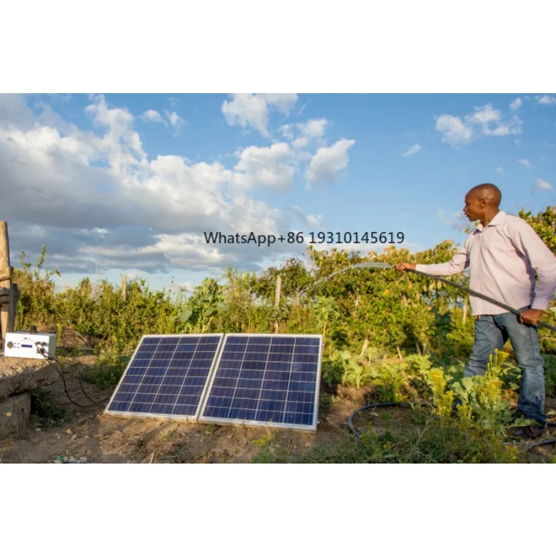 

【From China】HZUSUN Solar Cell Powered 40M Borewell 2 Agricultural Submersible Irrigation Water Spray Pump With Controller Cost