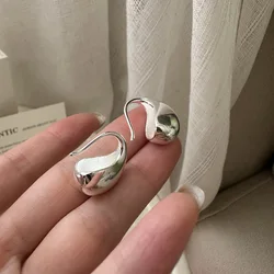 High Price S925 Sterling Silver Niche Design Sense Water Drop Earrings Fashionable Texture INS Earrings Wholesale Factory