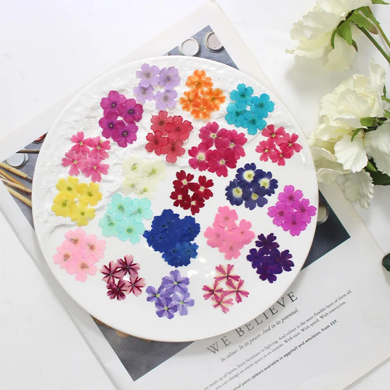 12 Stück, echte getrocknete Blumen, Prägematerialien, DIY-Zubehör für Epoxidharz, für Handyhüllen, Nagelkunst, Gesichtsaufkleber, handgefertigte Dekoration – Detail 1