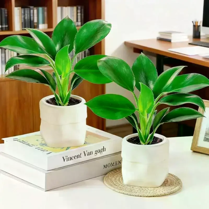 Mini Self Watering Flower Pot Fish Tank Plastic Plant Pots Self Watering Planter Pot Vase For Home Decoration