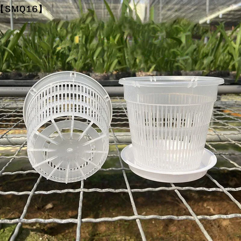 Aloe Vera Pot - Прозрачный сетчатый горшок для орхидей 11/14