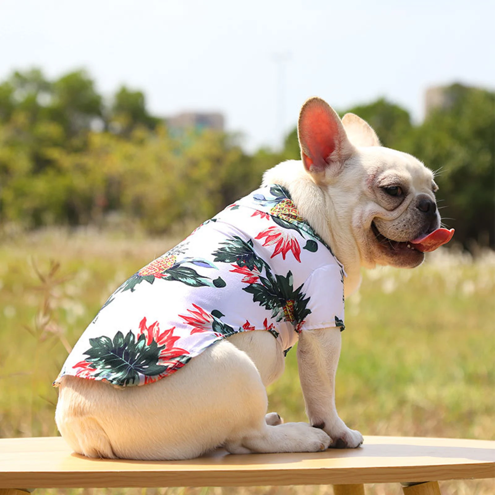 Hawaiian Dog Shirts Pineapple Print Dog Shirt Pet Summer Beach Vest Short Sleeve Summer Camp Clothes For Small Dogs Breeds Cats