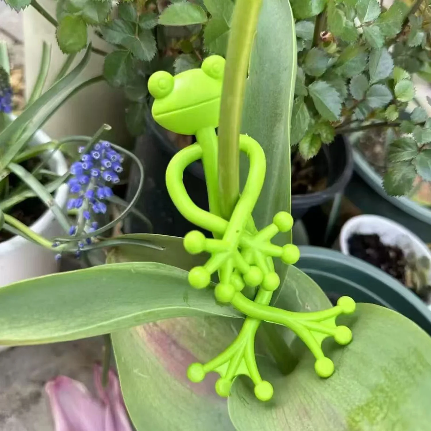 5Pcs Frog Plant Stand Holders Adorable Plant Propagation Buddies Plant Support Plant Gardening Accessories Climbing Fixture Clip