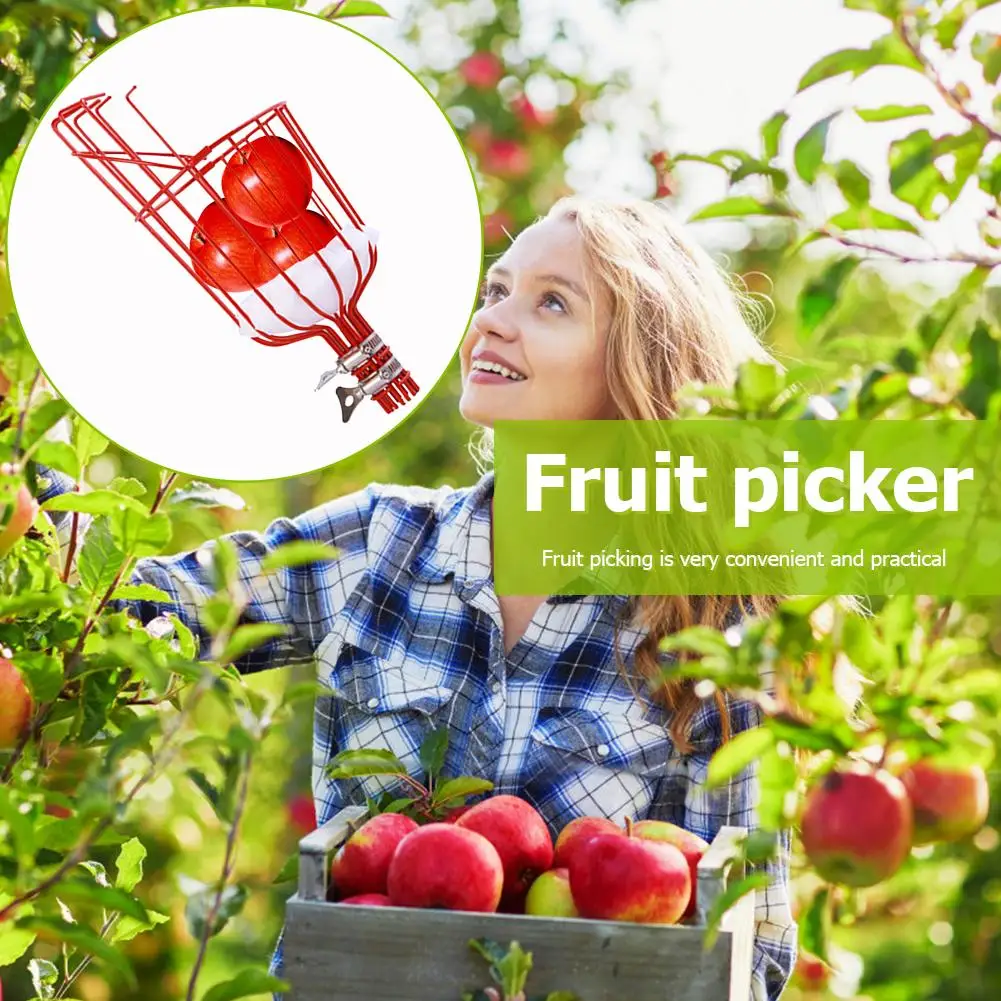 Deep Basket Fruit Picker Head Convenient Fruit Collector in Height Apple Peach Fruit Catcher Farm Picking Device Garden Tools