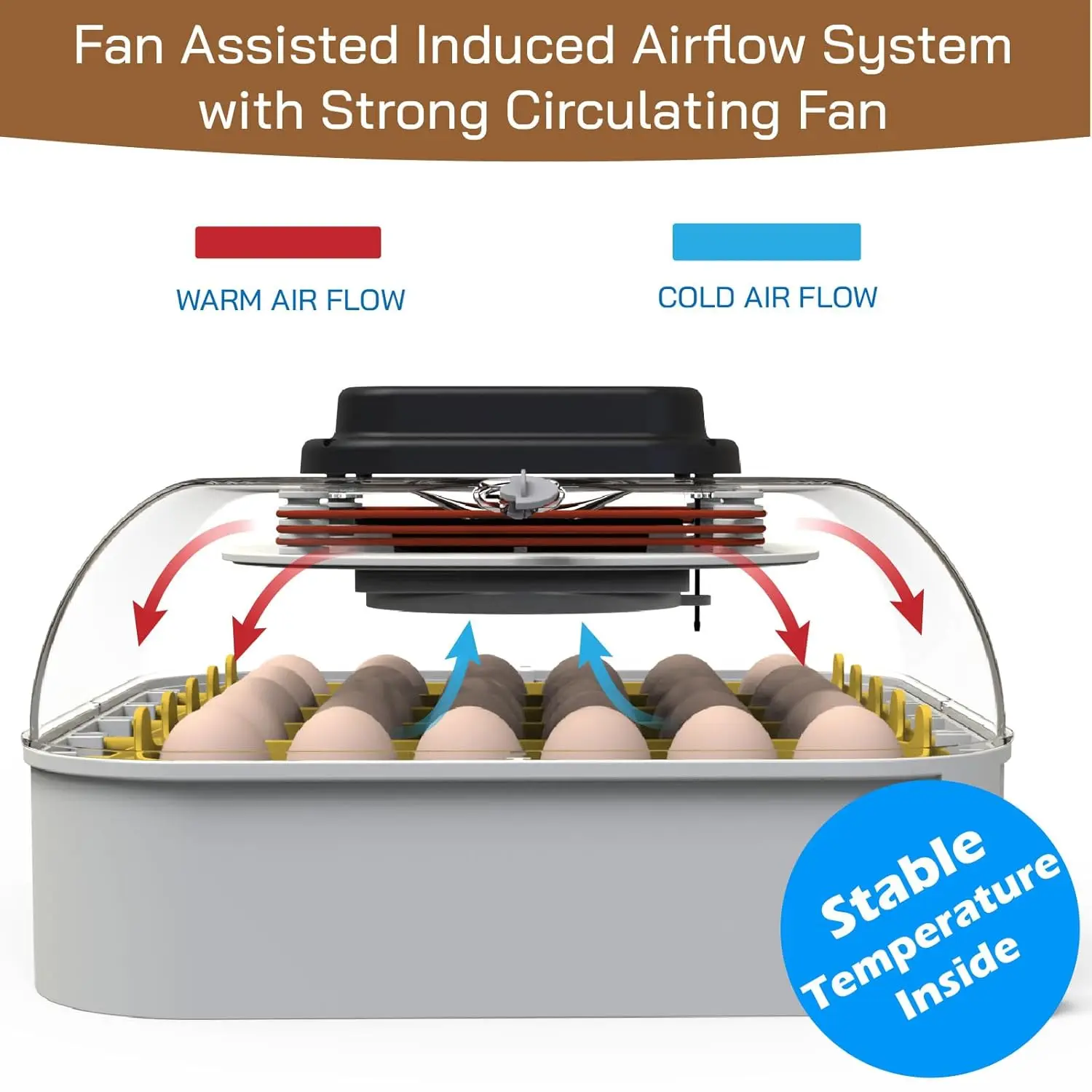 30 Egg Incubator with Humidity Display, Egg Candler, Automatic Egg Turner, for Hatching Chickens