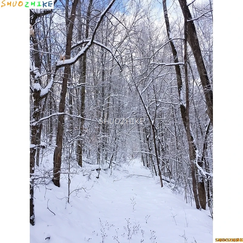 قطرات خلفية للتصوير الفوتوغرافي للغابات الشتوية ، طريق مغطى بالثلوج ، ندف الثلج ، أشجار التنوب ، خلفية الصورة ،