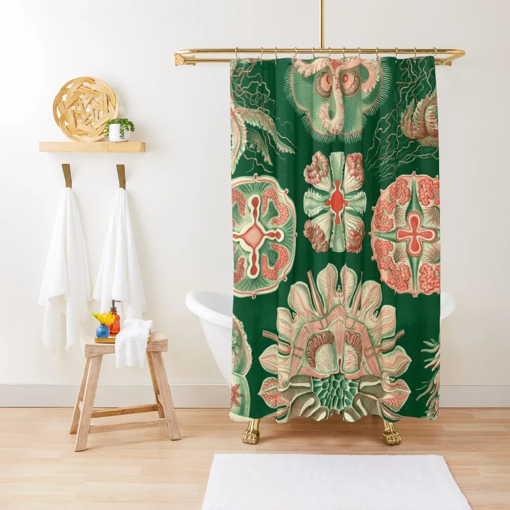 

Haeckel Discomedusae 98 Drawing Shower Curtain Bathroom Accessory Shower Bath Set For Bathroom Shower Set Curtain