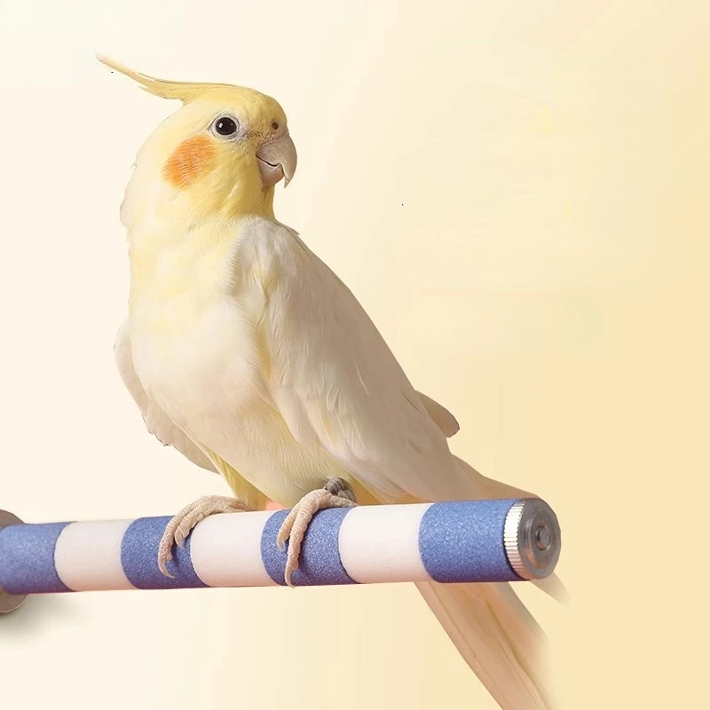 #48 Bird Perch Stands Comparison Guide