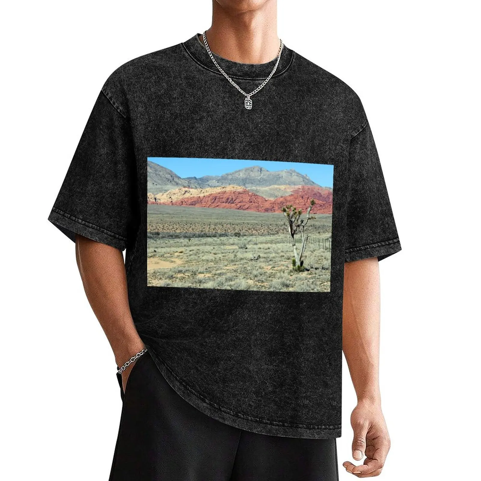 Las Vegas Canyon T-Shirt funny meme t-shirts T-shirts oversize men t shirts