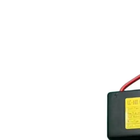 220V For Pulse Ignition Controller With Ignition Needle For Gas Infrared Burner For Boiler Baking Equipment For Safety Device