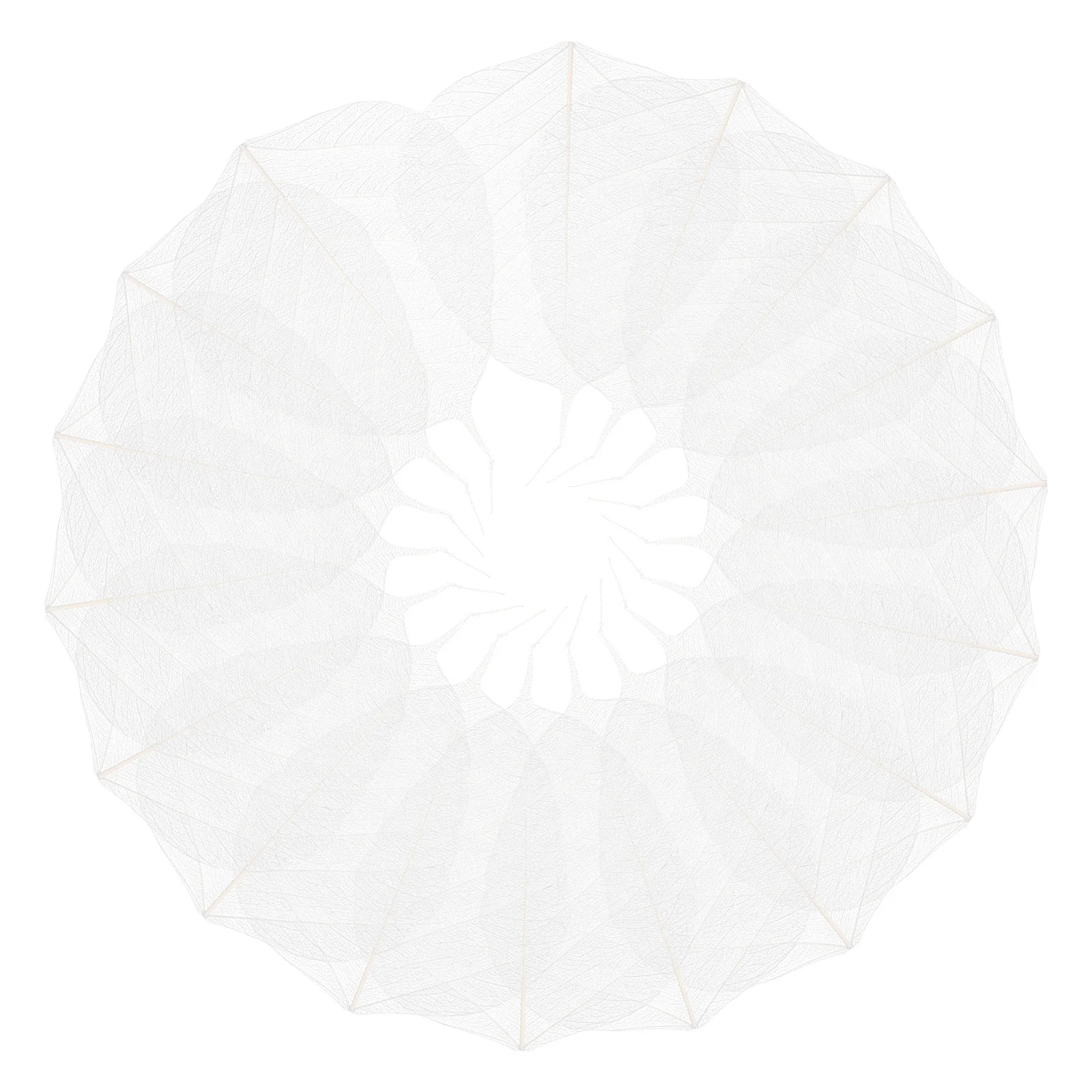 

20pcs Leaf Vein Bookmark Materials Handmade Diy Craft Supplies For Greeting Cards Scrapbook Wedding Decor Dried Leaves