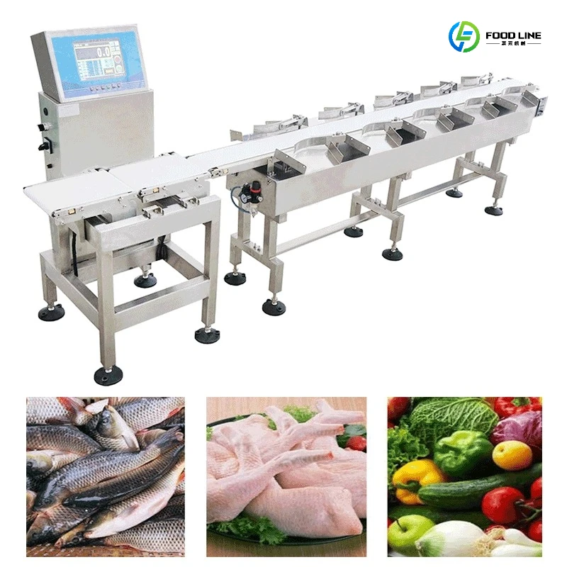 Food Grade Stainless Steel Fish Shrimp Meat Automatic Weight Grading Machine