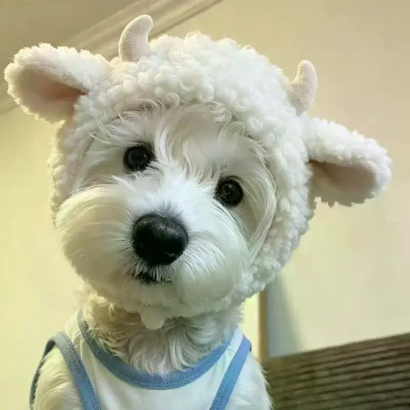 Cute Fluffy Plush Sheep Shaped Dog Hat With Horns Soft Comfortable For Pet Cosplay Party Photos