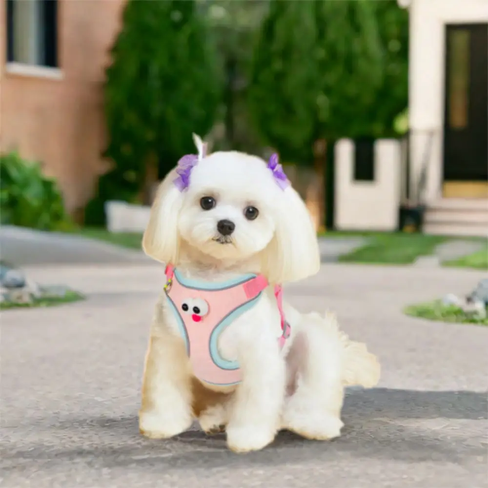 

Cute Cartoon Dog Harness Vest Big Eyes Adjustable Cat Chest Straps Reflective Breathable Dog Harness and Leash Set Walking