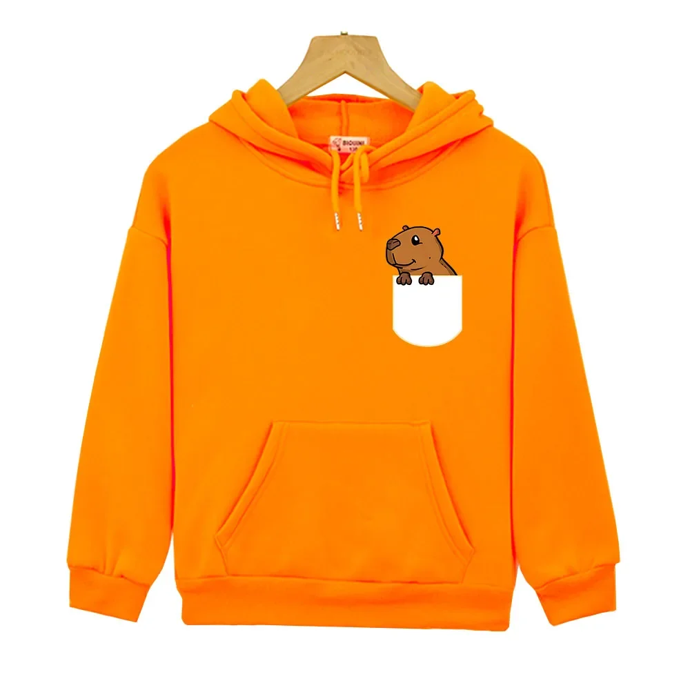 Cute Capybara In The Pocket Hoodies Cartoon Graphic Sweatshirt Girl Long Sleeves Top Y2k Sudadera Kids Pullover Baby Boy Clothes