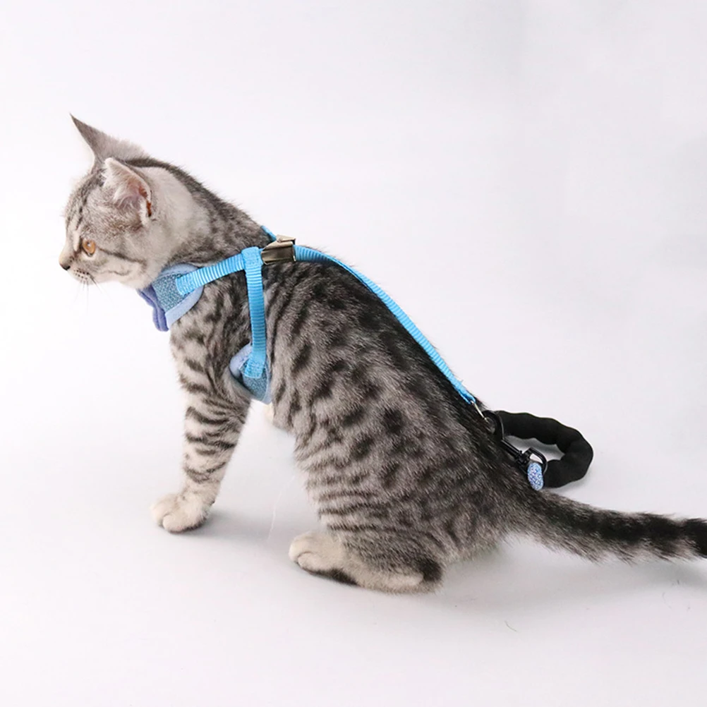 

Bowknot Vest Type Pet Harnesses Adjustable Cat Pulling Strap Cat Harness Creative Cat Chest Strap (Blue, Suitable for 2.5kg-10kg