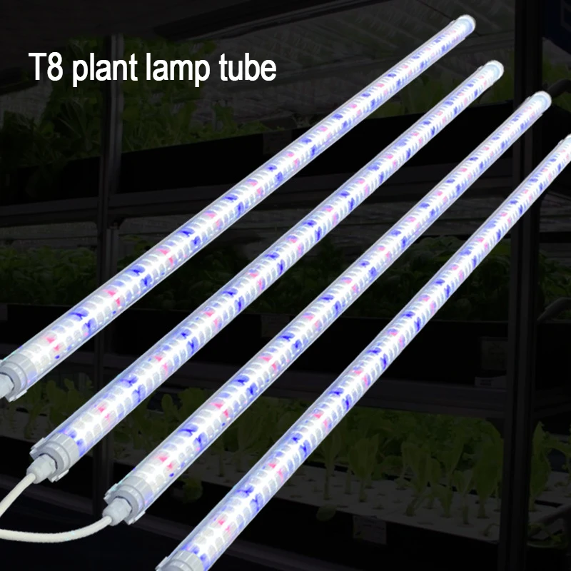 

Plant growth lamp tubes, supplementary lighting lamps for leafy vegetable seedlings, and coloring lamps for succulent plants