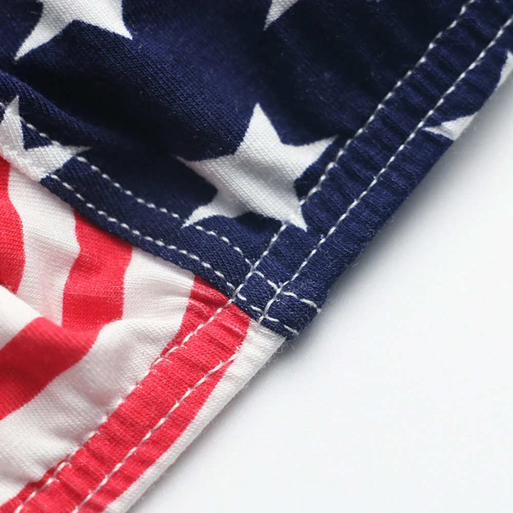 Calzoncillos con estampado de bandera de EE. UU. Para Hombre, ropa interior Sexy, tangas con parte trasera en T, tangas con estampado de rayas de bandera americana, bragas masculinas