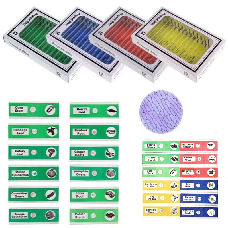 

12/48Pcs/Set Prepared Microscope Slides Specimen Animals Insects Plants Flowers Sample