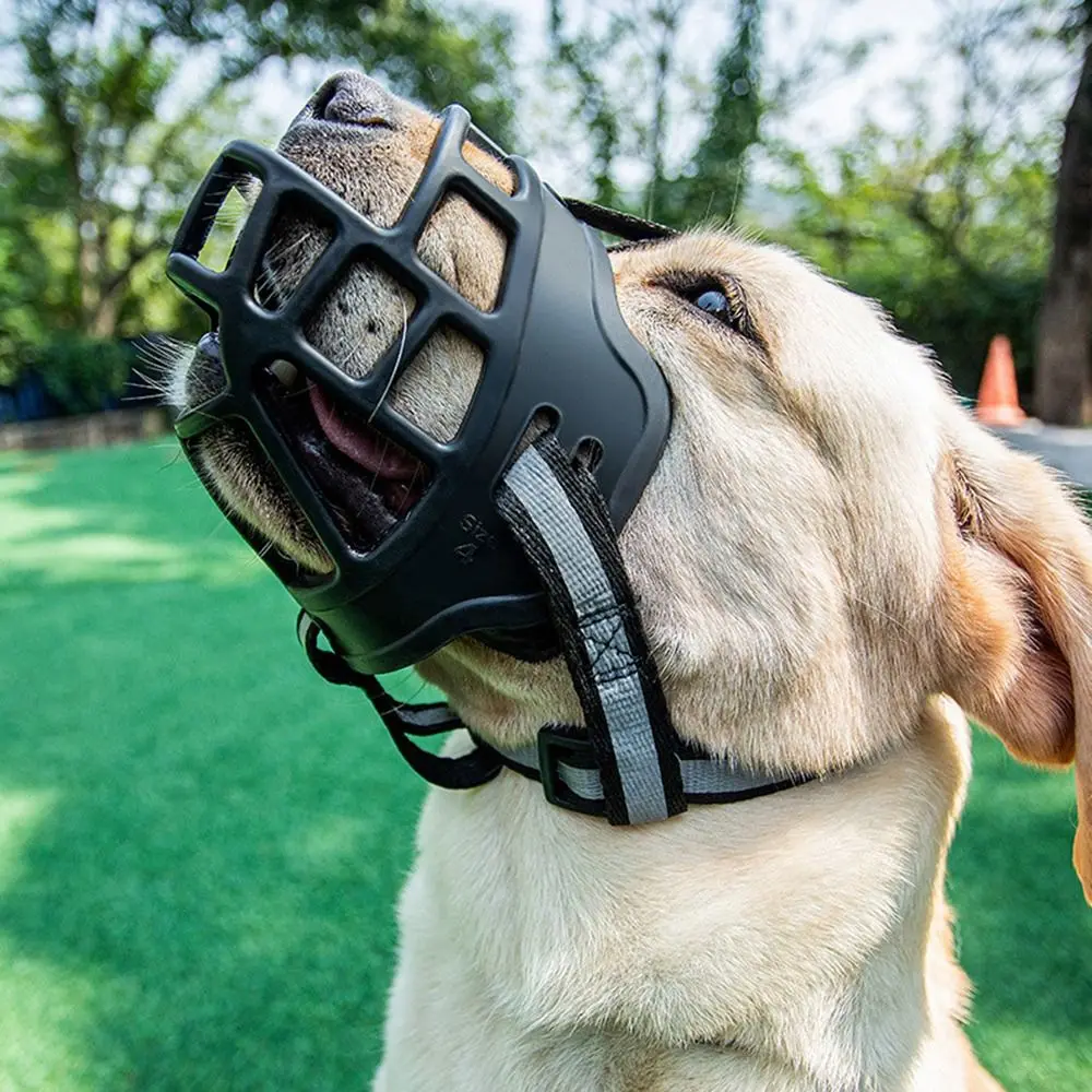 #27 Latest Puppy Clickers Offers