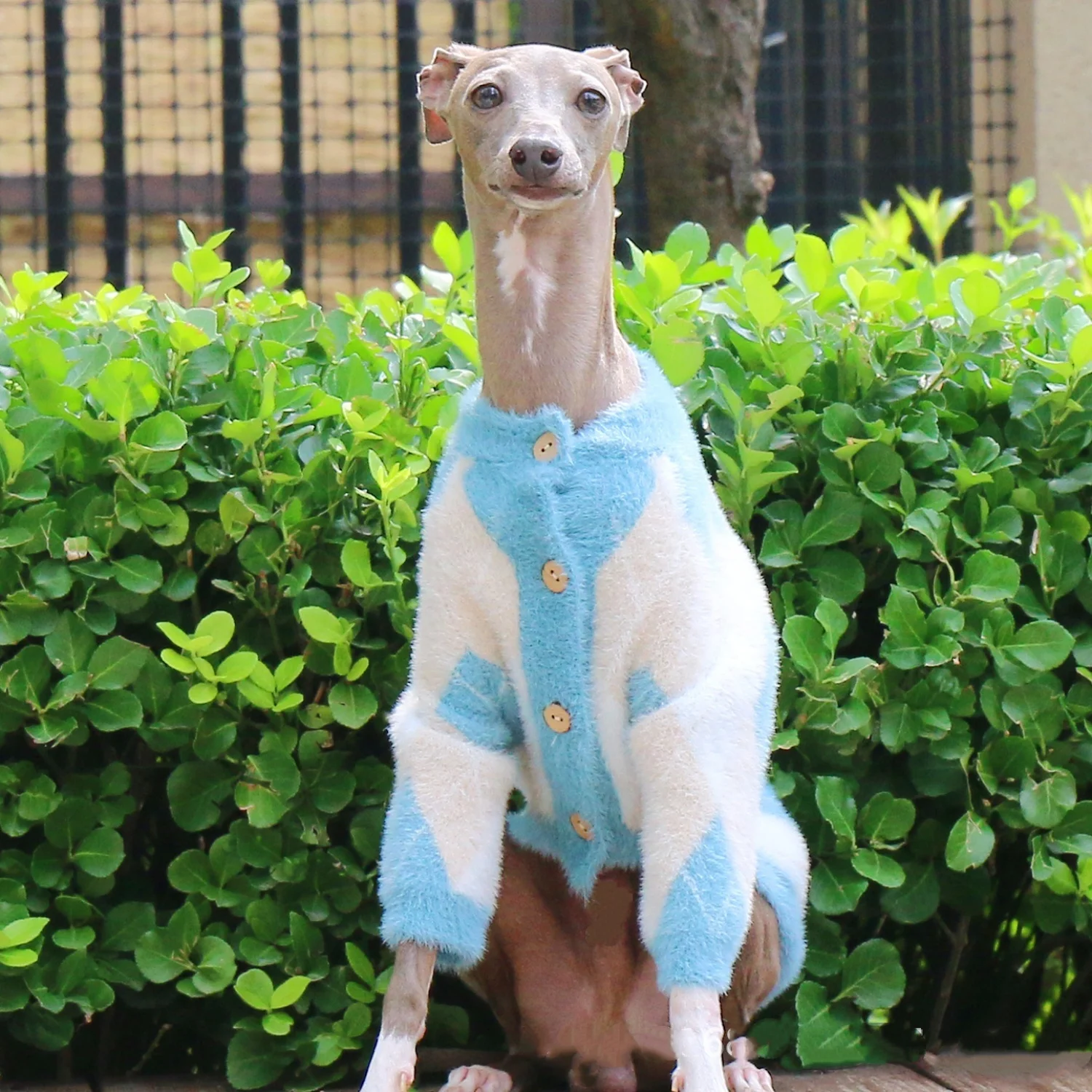 

Сине-белый теплый свитер для итальянского борзой, уиппет, зимнее флисовое пальто с длинными рукавами и пуговицами для собак, толстая куртка для домашних животных