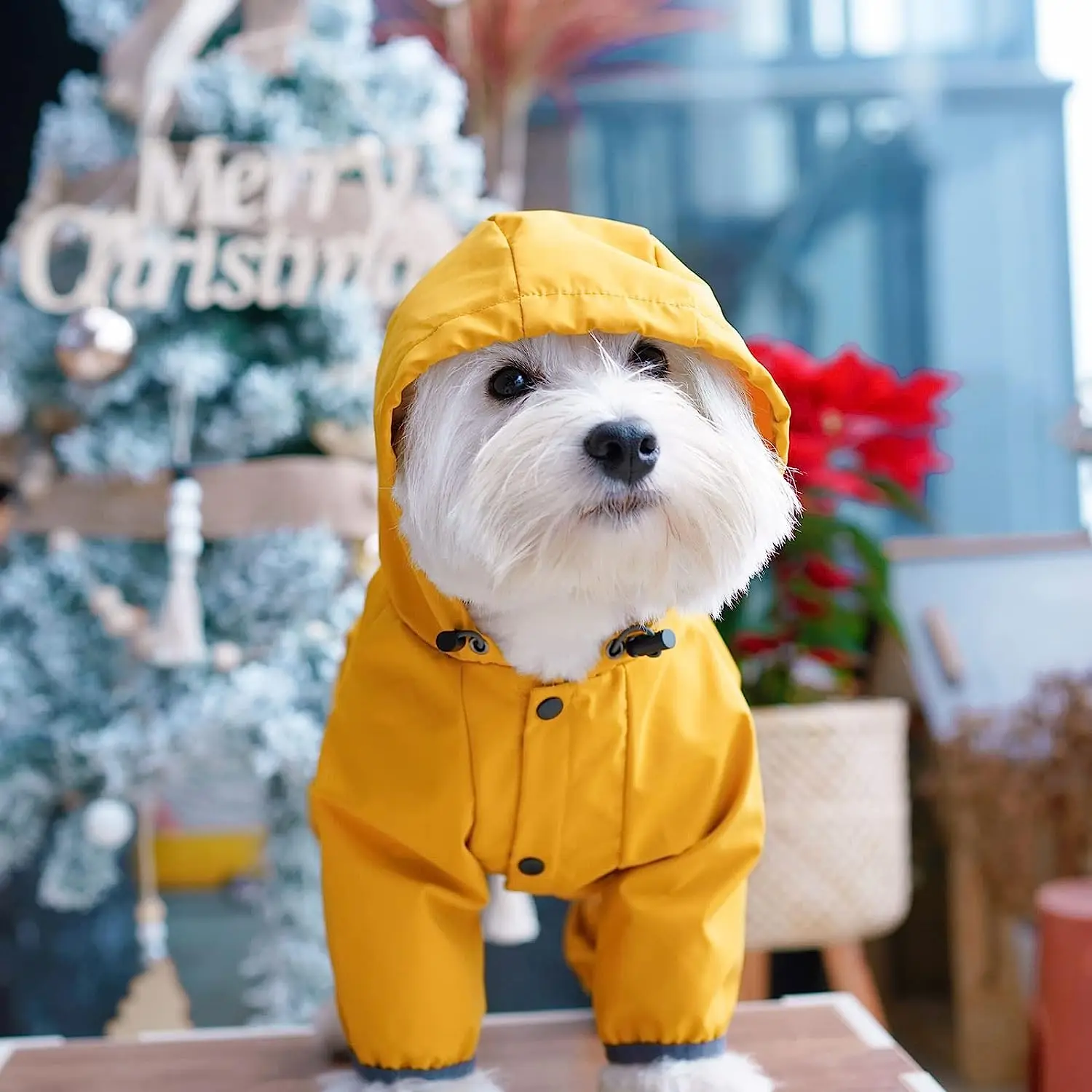 Dog Raincoat with Hood for Puppy Small Medium Dogs Solid Puppy Clothes Reflective Pets Cats Outwear Four Legged Solid Jacket