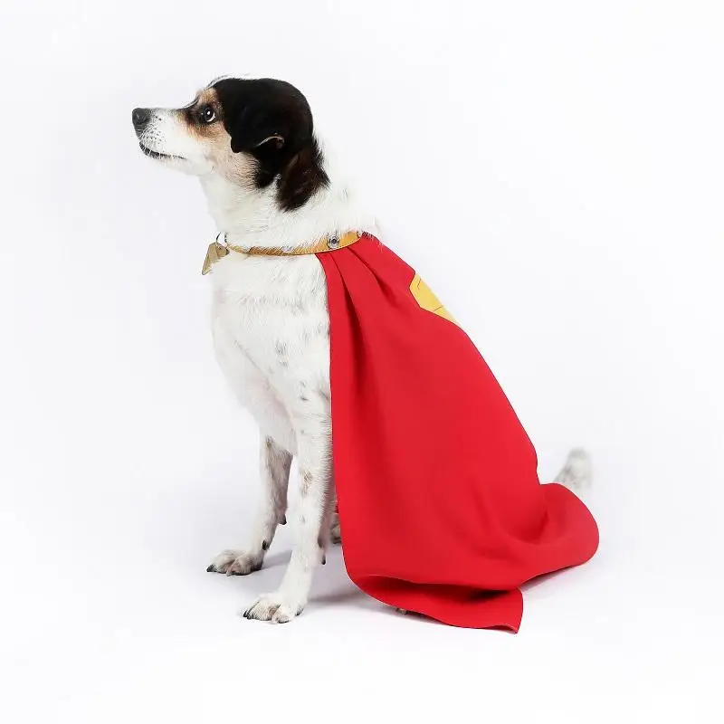 Capa para perro mascota, disfraz de loween, disfraz de pequeño Kryptonian, accesorios de estrella, lluvia, serie de cómics Chen, pieza de disfraz para mascota