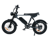Elekwheels E6 Electric Bicycle 500W Rear Motor 48V15.6Ah Inner Lithium Battery Chinese Cells 5PAS LCD Display 20\