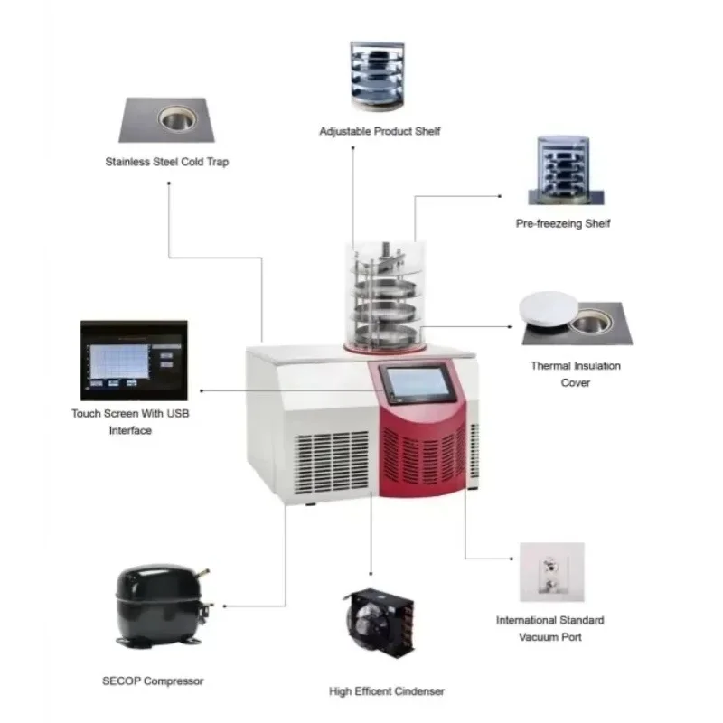 Vertical Laboratory Dryer Lyophilizer Customizable OEM for Main Vacuum Drying of Fruits And Foods Lab Supplies