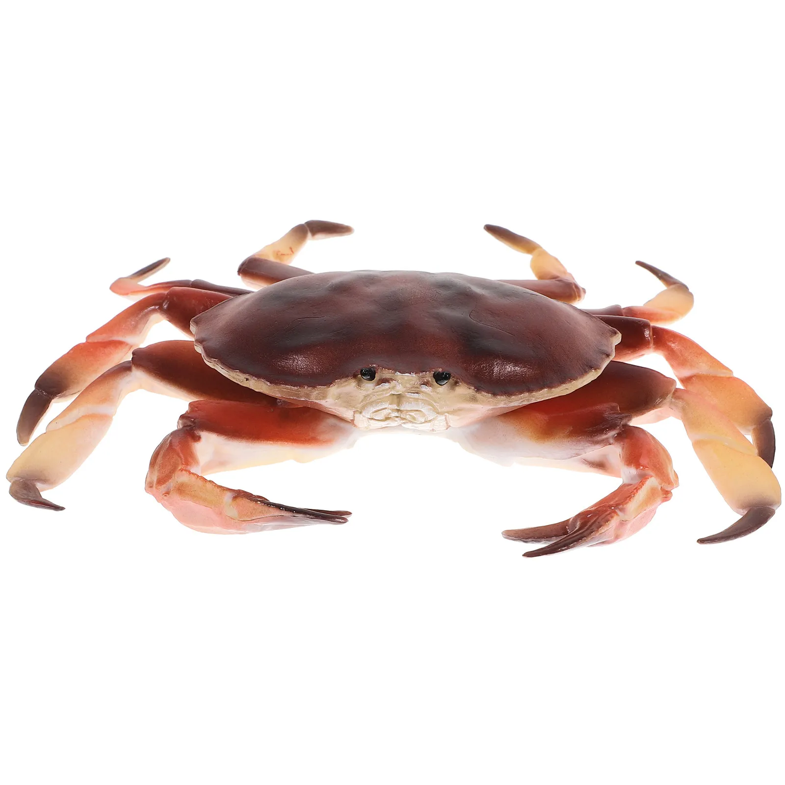 Lifelike Plastic Crab Ornament for Desktop Garden Room Nursery Decoration Educational Cognitive Development Realistic Simulation