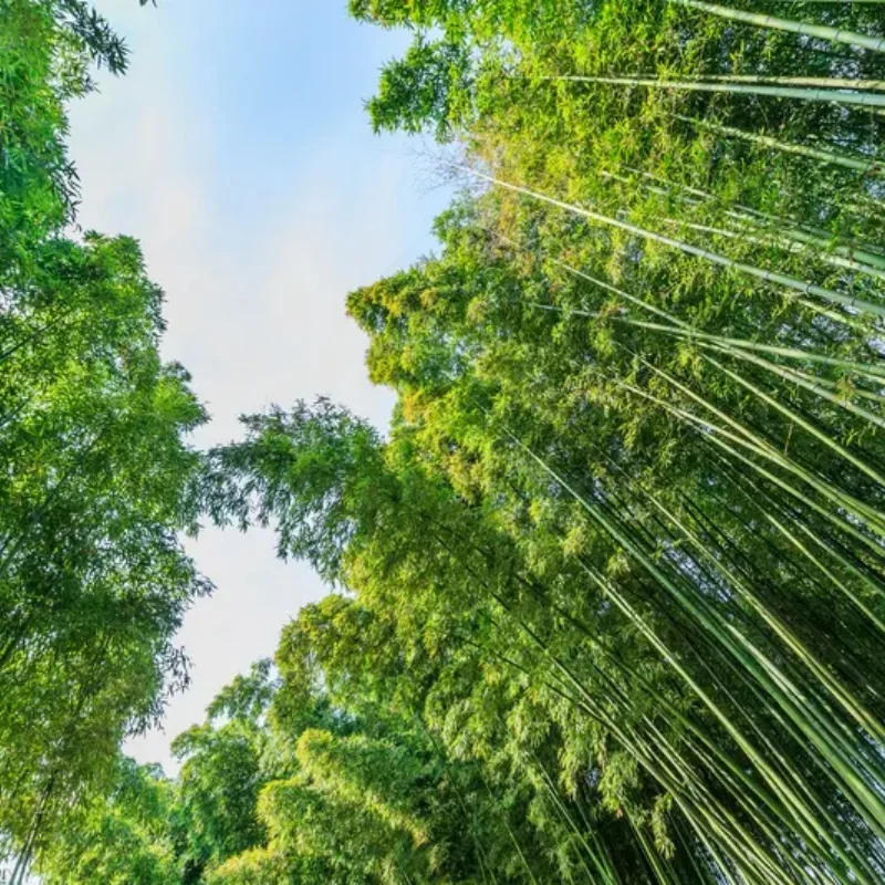 

Комплект рамы Axisflying Cineon C25 Cinewhoop FPV для кинематографических фристайл-полетов с GPS-трекером O3 для радиоуправляемых моделей