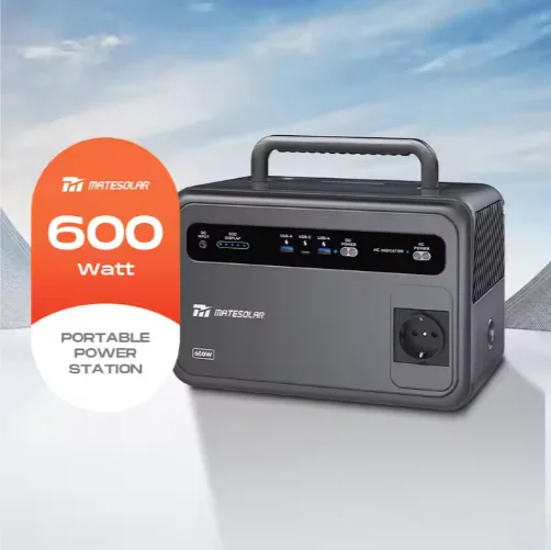 Mate Portable Power Station 300W 600W 12V 220V Pure Sine Wave Home Power Battery Station Small Delicate and Digital GT300/600