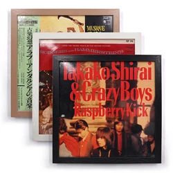 New 3 Color Vinyl Record Album Frame Display Plastic+Acrylic Wall Mount Shelf LP 12in Record Insert Poster Frame Record Storage