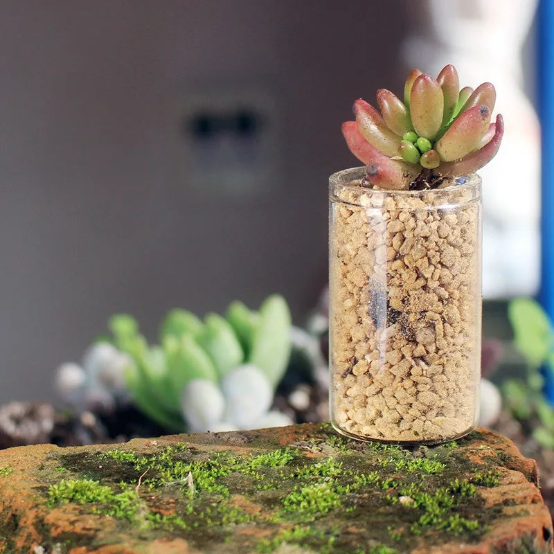 1Pc Small Glass Bottles With Cork Stoppers DIY Plant Decoration Mini Glass Vials Cork Message Glass Vial Wishing Bottles 50ml