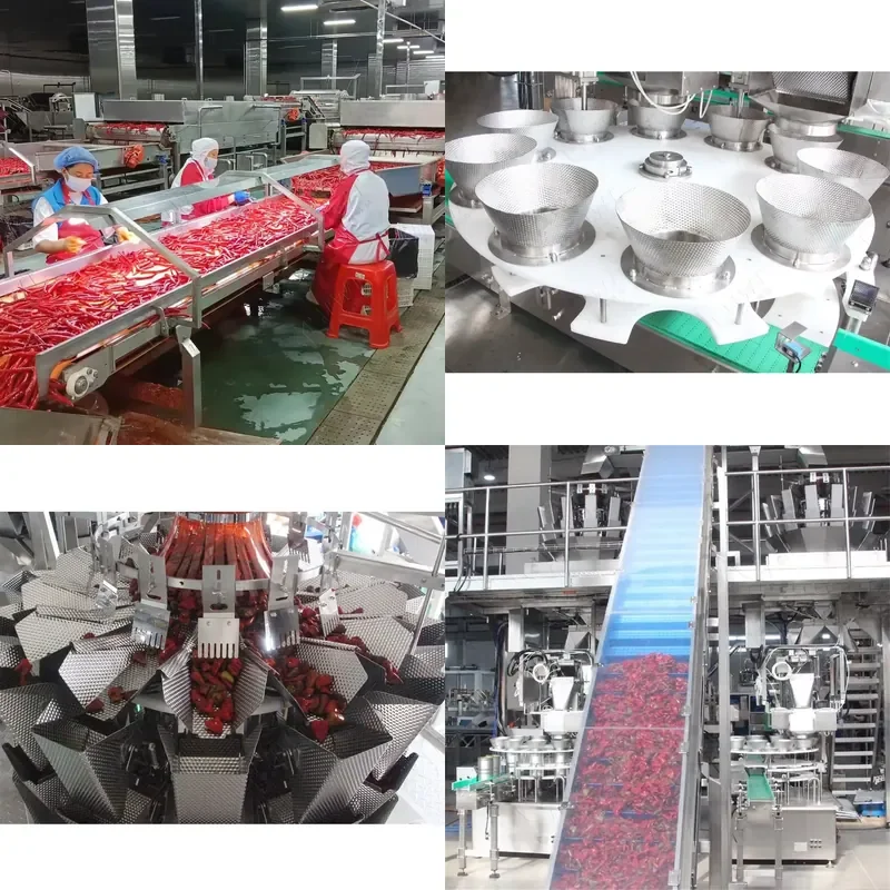 Fábrica de Procesamiento de Salsa de Chile Industrial 2026 CE, Máquina para Hacer Salsa de Tomate, Línea de Producción de Tomate Enlatado