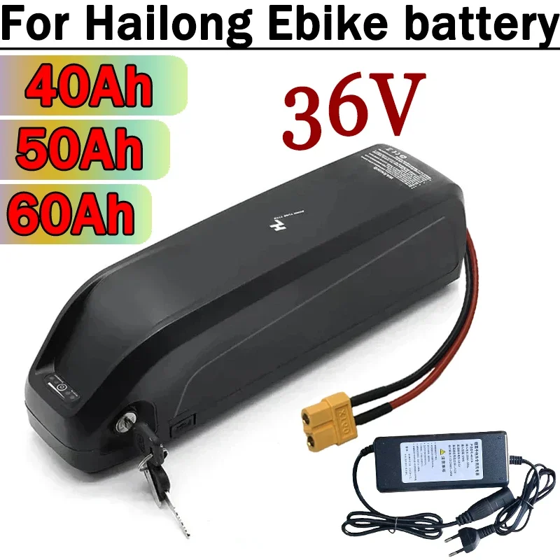 

100%NEW 36V 40AH 50AH 60AH Hailong Ebike Battery 18650 battery+Charger