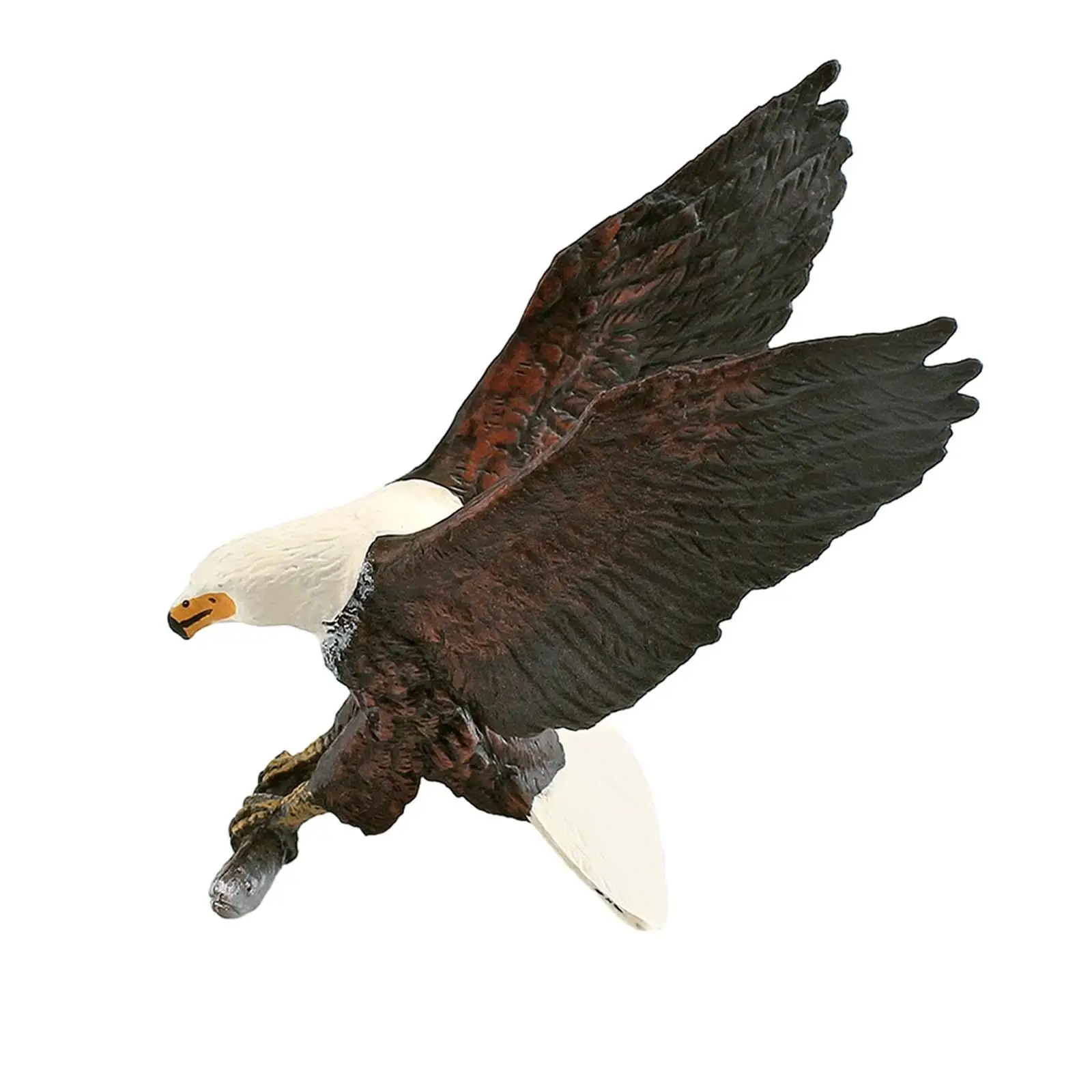 Statue de Simulation d'oiseau de la faune, figurines d'animaux en PVC, modèle éducatif à collectionner, décoration de Table, ornement pour exposition de pièce