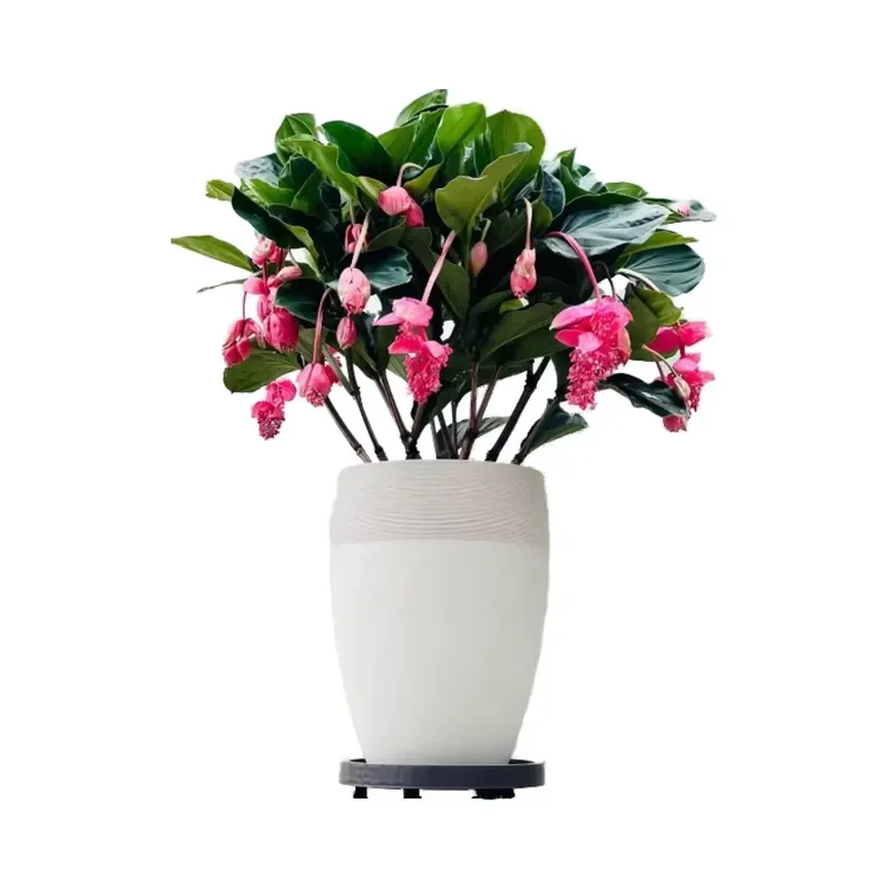 Unique Rotating Flower Pot Mould Creative Outdoor Garden Decoration Design Novelty Planter Mold for DIY Home Yard Art Craft